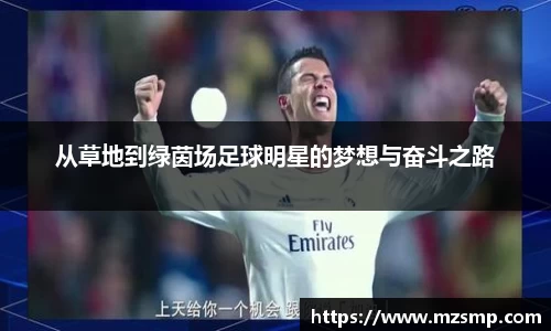 从草地到绿茵场足球明星的梦想与奋斗之路